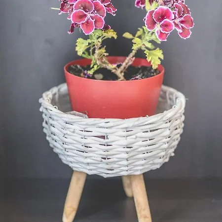 Appartement Keko